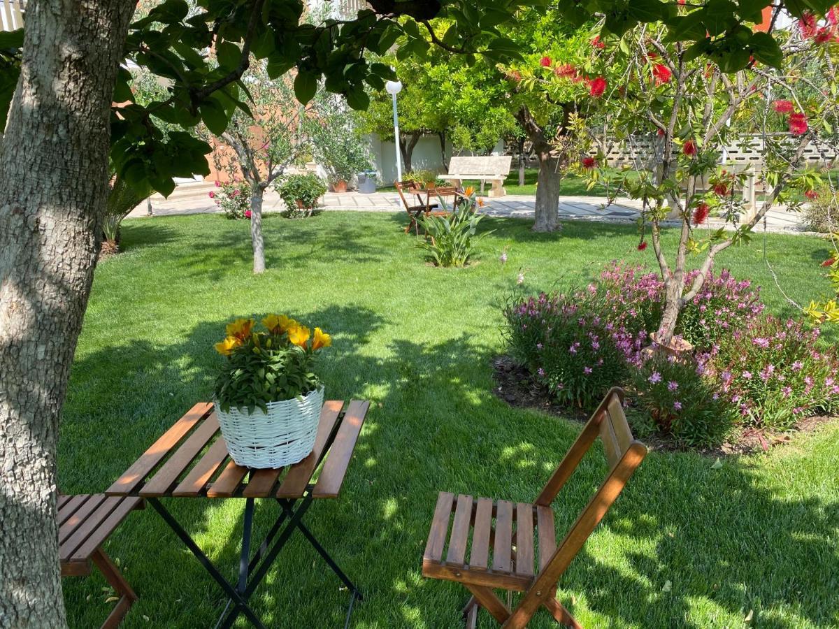 Casa Dolce Casa Ruvo Otel Ruvo di Puglia Dış mekan fotoğraf